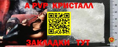 спиды Кинель