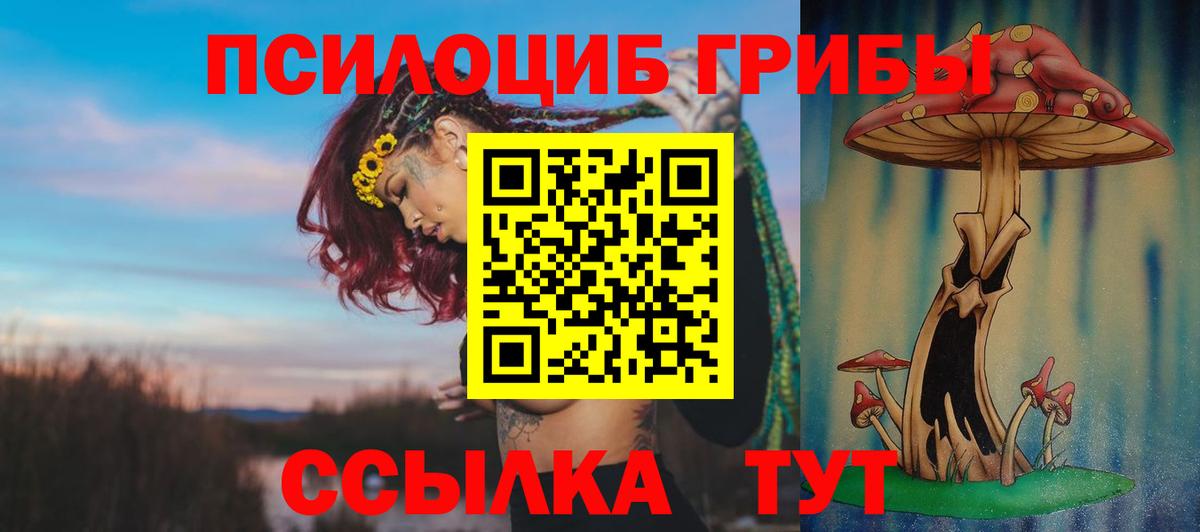Кстово  Галлюциногенные грибы мицелий  Псилоцибиновые грибы Cubensis  Вход с VPN 